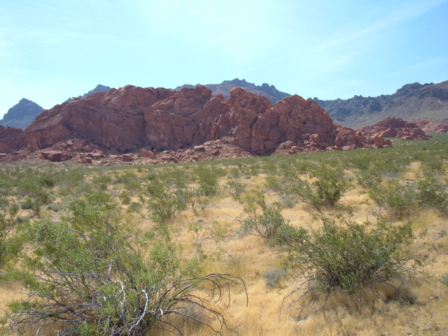 DSCF1241.JPG
